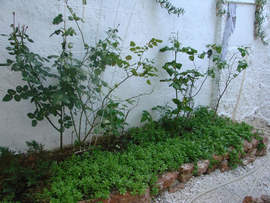 Apartman Restovic Bol Esterno foto