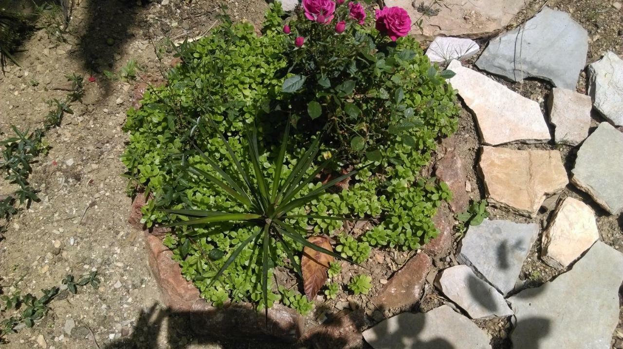Apartman Restovic Bol Esterno foto